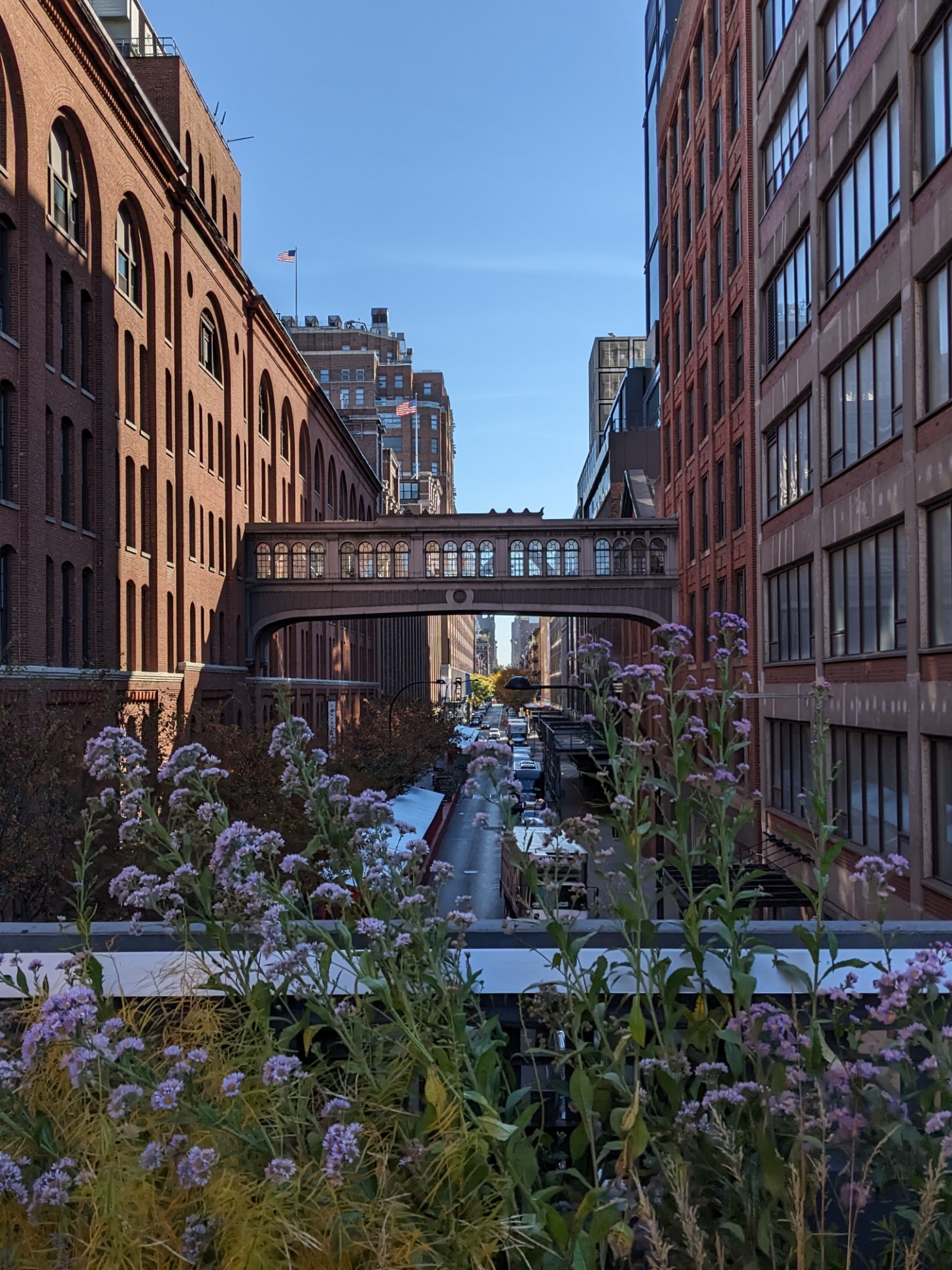 View from Highline park. New York City 